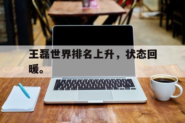 APP下载-王磊世界排名上升，状态回暖。